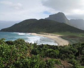 Rat Eradication Gives Lord Howe Biodiversity Boom