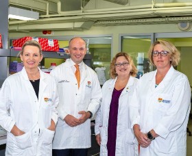 World-First Genomic Program to Help Koalas