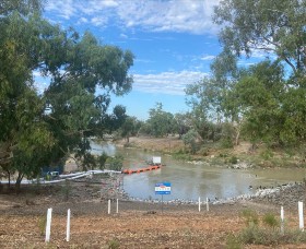 Australian-First Technology to Help Fish Move in the Lower Darling-Baaka