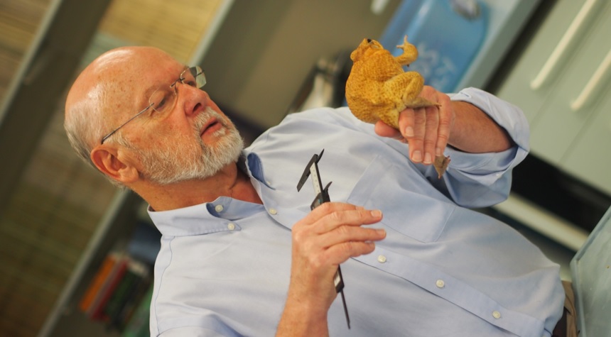 Toad-fighting scientist Shines at Premier’s Prizes