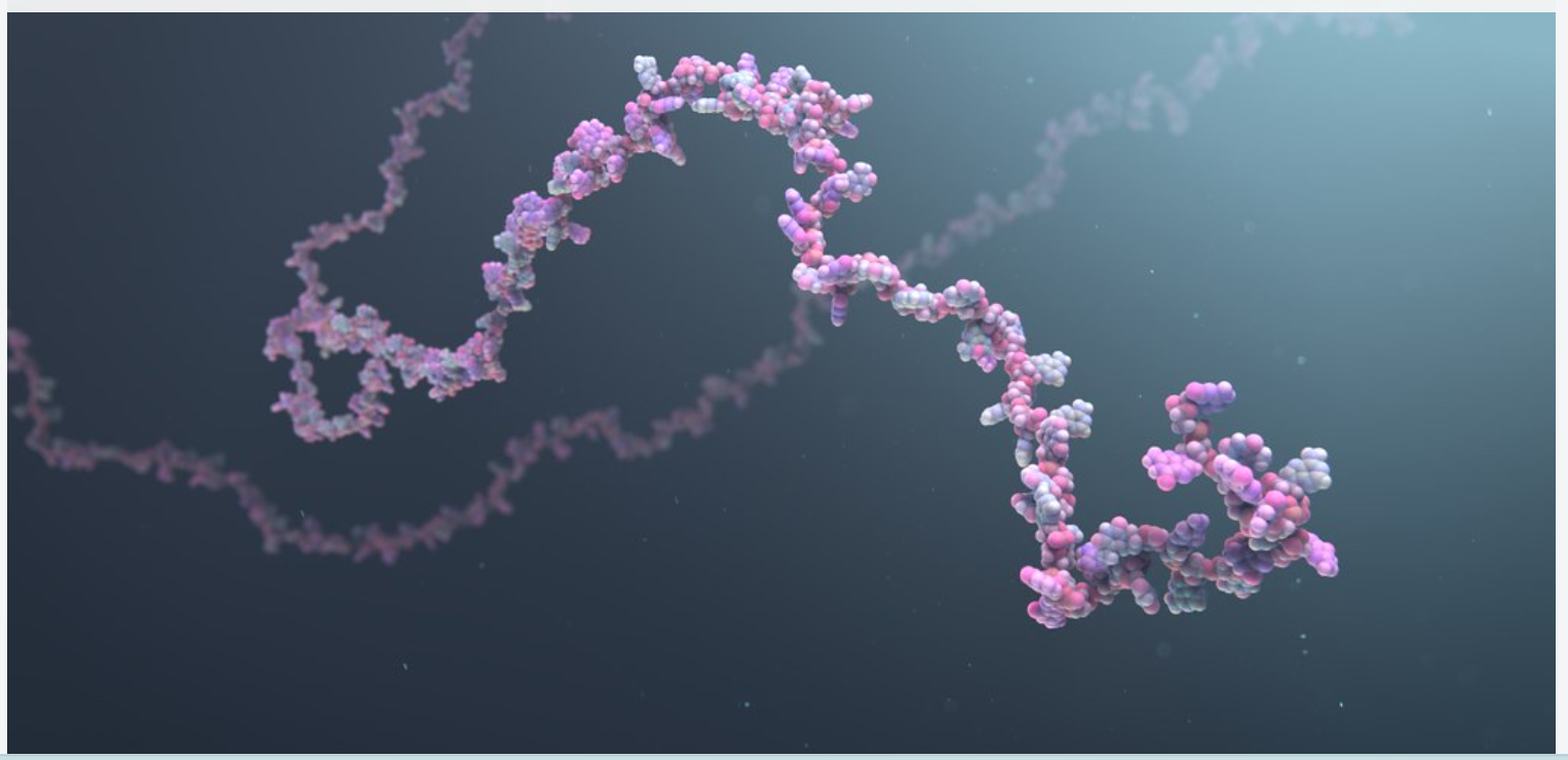 Microscopic image of an RNA chain