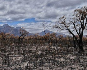 Funding to Fast Track Bushfire Technology