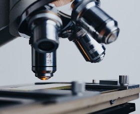 $6 Million for Researchers and Startups to Make their Mark in Biotech Infrastructure