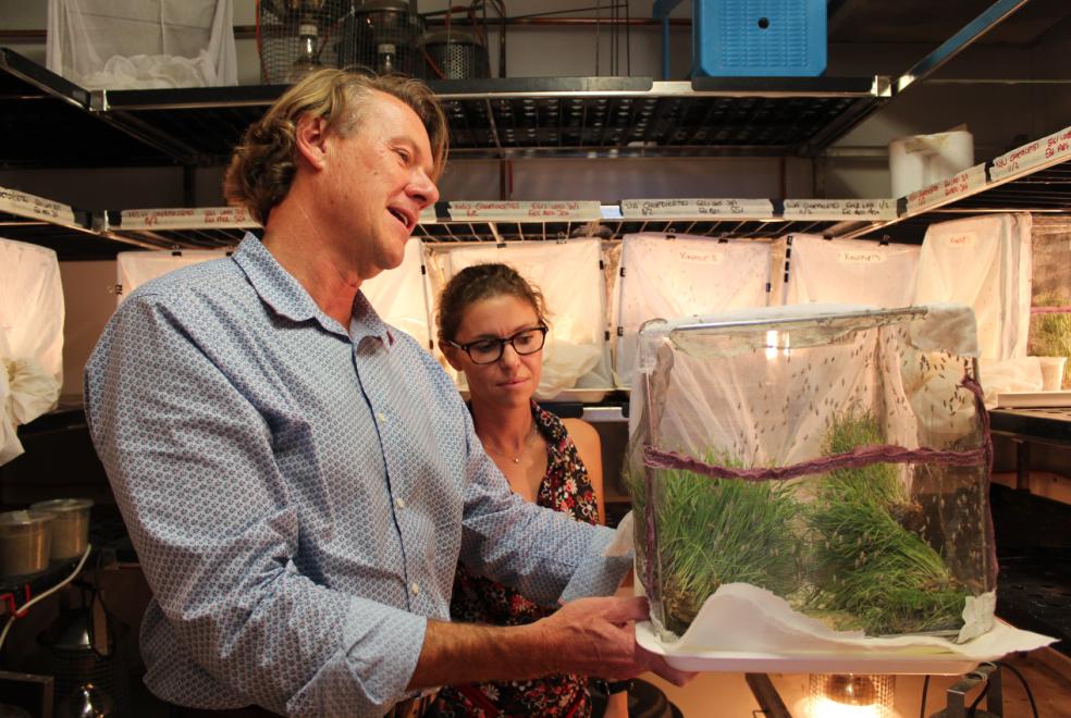  Professor Stephen Simpson to speak at Science & Research Breakfast Seminar